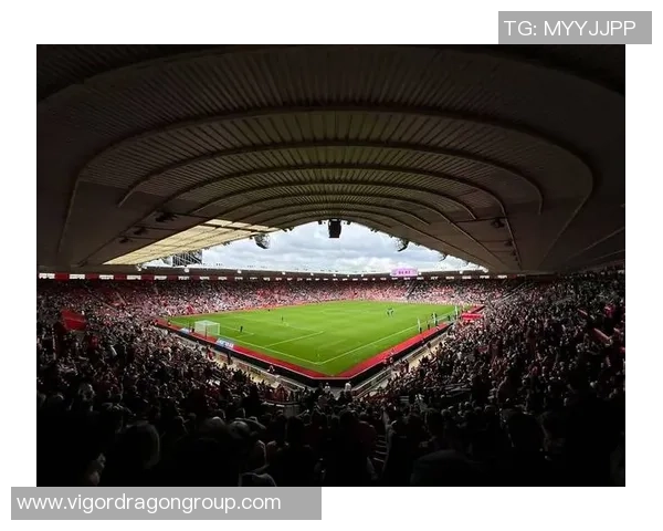 足球明星贾蒂尔的传奇人生与场上风采揭秘